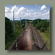 snail-rail1.jpg