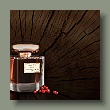 terryfic-oud_1-gallery.jpg