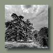 chaumont-park.jpg
