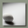 ei01112020.jpg