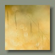 gras1306202410.jpg