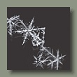 schneeflocke.jpg