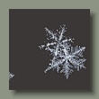 schneeflocke1.jpg