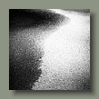 seereif041220164_1.jpg