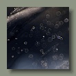 tau-13112022.jpg