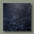 tau-1311202210.jpg