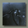 tau-131120228.jpg